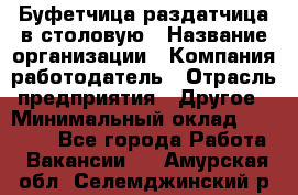 Буфетчица-раздатчица в столовую › Название организации ­ Компания-работодатель › Отрасль предприятия ­ Другое › Минимальный оклад ­ 17 000 - Все города Работа » Вакансии   . Амурская обл.,Селемджинский р-н